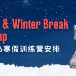 Chessmate圣诞及2026年寒假训练营安排